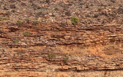 Comisión de Historia de la Geología de España
