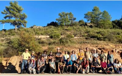 VIII Reunión de campo de la Comisión de Geología Sedimentaria de la SGE (Cuenca 2023)