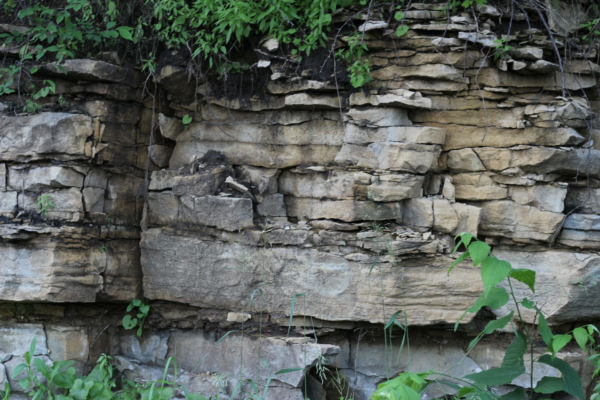 Comisión de Geología Sedimentaria